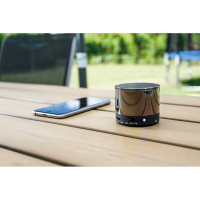 Altavoz portátil con micrófono