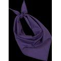 Bandana fiestas Purple