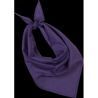 Bandana fiestas Purple