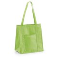 Bolsa Nevera Non Woven 10L