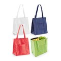 Bolsa Nevera Non Woven 10L