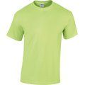 Camiseta algodón hombre Mint Green XL