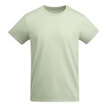 Camiseta Algodón Orgánico VERDE MIST 2XL