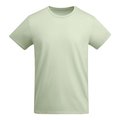 Camiseta Algodón Orgánico VERDE MIST 9/10