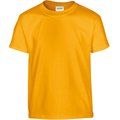 Camiseta clásica infantil de algodón Gold M