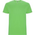 Camiseta Colores Manga Corta VERDE OASIS 11/12