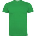 Camiseta Manga Corta VERDE IRISH L