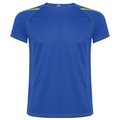 Camiseta técnica transpirable ROYAL S