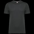 Camiseta con tratamiento antibacteriano Gris XXL