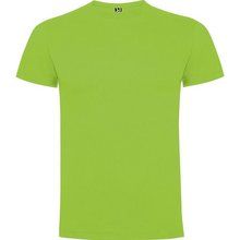 Camiseta Manga Corta VERDE OASIS XL