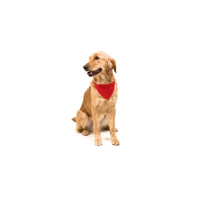 Collar ajustable con bandana para mascotas
