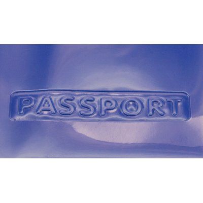 Funda para pasaporte en pvc