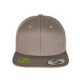 Gorra snapback Pale Grey