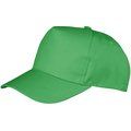 Gorra con visera curva Apple Green