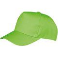 Gorra con visera curva Lime