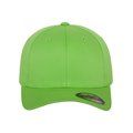 Gorra con visera interior plateada FRESH GREEN S/M