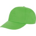 Gorra con visera precurva Lime