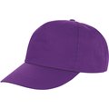 Gorra con visera precurva Purple