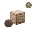 Kit Cultivo Flores Silvestres en Caja Beige