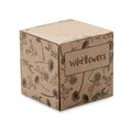 Kit Cultivo Flores Silvestres en Caja