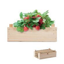 Kit Cultivo Fresas en Caja Madera Madera