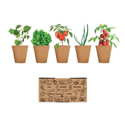 Kit Cultivo Verduras UE Beige