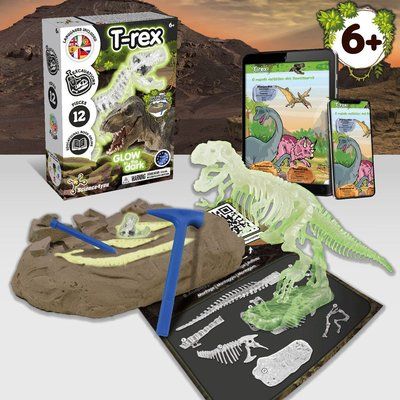 Kit de Excavación dinosaurios con Bolsa de Regalo