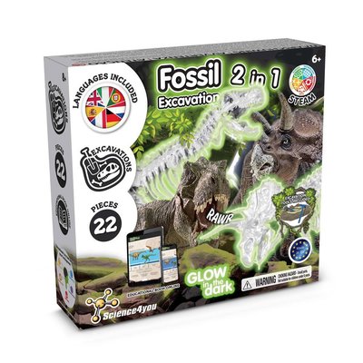 Kit juego educativo de excavación de dinosaurios