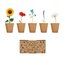 Kit Cultivo 5 Flores + Tierra UE Beige