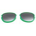 Lentes Sol Ahumadas UV400 Verde