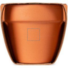 Maceta de Terracota con Semillas de Berro | POT PAD