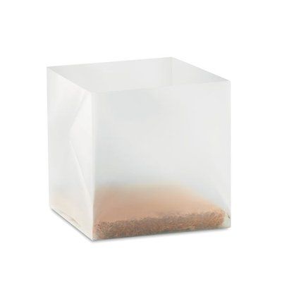 Maceta cubo plegable translúcido con semillas de perejil
