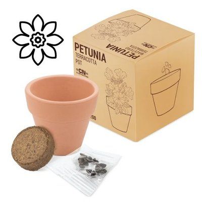 Maceta Terracota con Semillas Flores PETUNIA