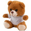 Osito de peluche personalizable