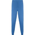 Pantalón sanidad  largo unisex AZUL LAB L