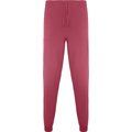 Pantalón sanidad  largo unisex ROSETON M