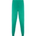 Pantalón sanidad  largo unisex VERDE LAB M