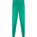 Pantalón sanidad  largo unisex VERDE LAB XL