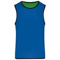 Peto reversible Azul / Verde XXL/3XL