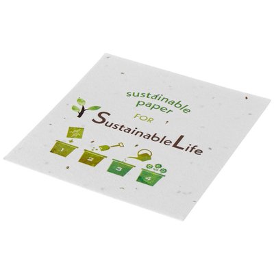 Posavasos biodegradable con semillas