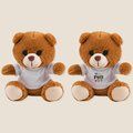 Producto Osito de peluche personalizable