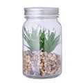 Producto Planta Decorativa con LEDs y Tarro de Cristal