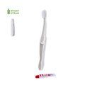 Set Dental Plegable con Cepillo y Pasta 6g