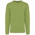 Sudadera algodón poliéster cuello redondo Pistachio S