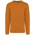 Sudadera algodón poliéster cuello redondo Pumpkin XS