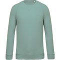 Sudadera colores lisos de algodón Sage XL