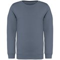 Sudadera infantil eco Gris 10/12 ans