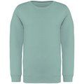 Sudadera infantil eco Jade Green 4/6 ans