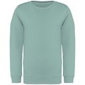 Sudadera infantil eco Verde 6/8 ans