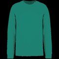 Sudadera lisa Unisex Gemstone Green 4XL